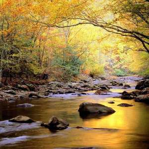 扒灰儿媳妇最经典十句话
